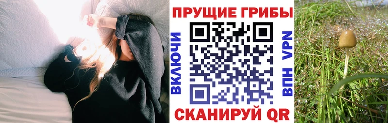Галлюциногенные грибы ЛСД  Купить  Корсаков 